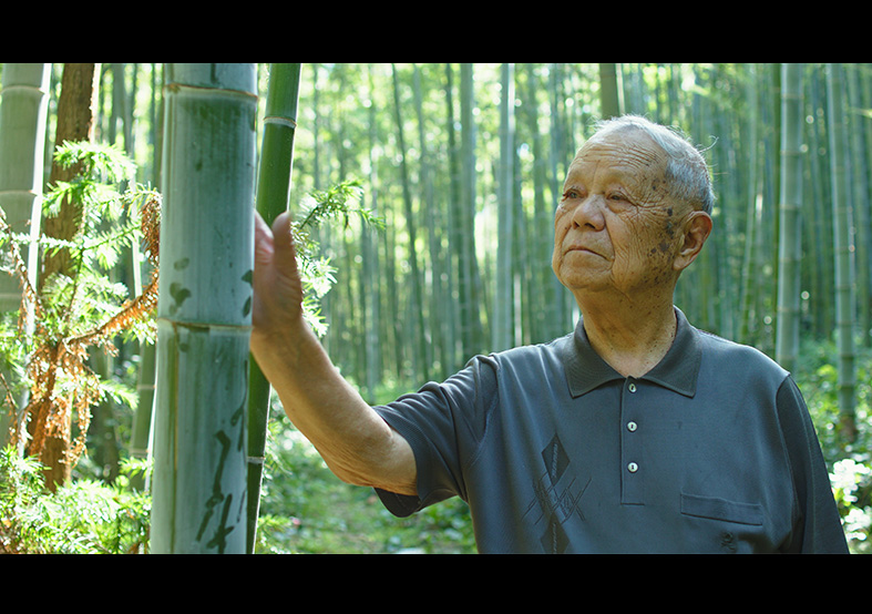 制扇技藝-徐義林 國(guó)家級(jí)非物質(zhì)文化遺產(chǎn)代...